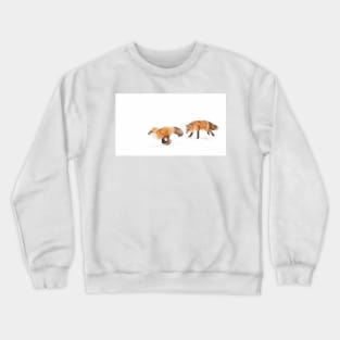 Chasing Foxes - Red Fox Crewneck Sweatshirt